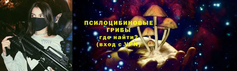 купить наркотики цена  Большой Камень  Псилоцибиновые грибы Psilocybe 